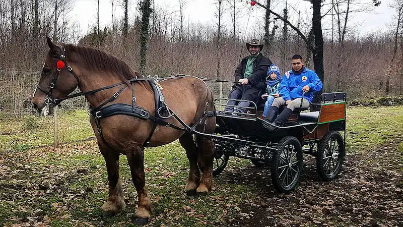 Paseo a caballo por el Etna