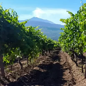 degustazione-vini-escursione-etna