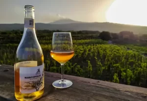 degustazione-vini-etna